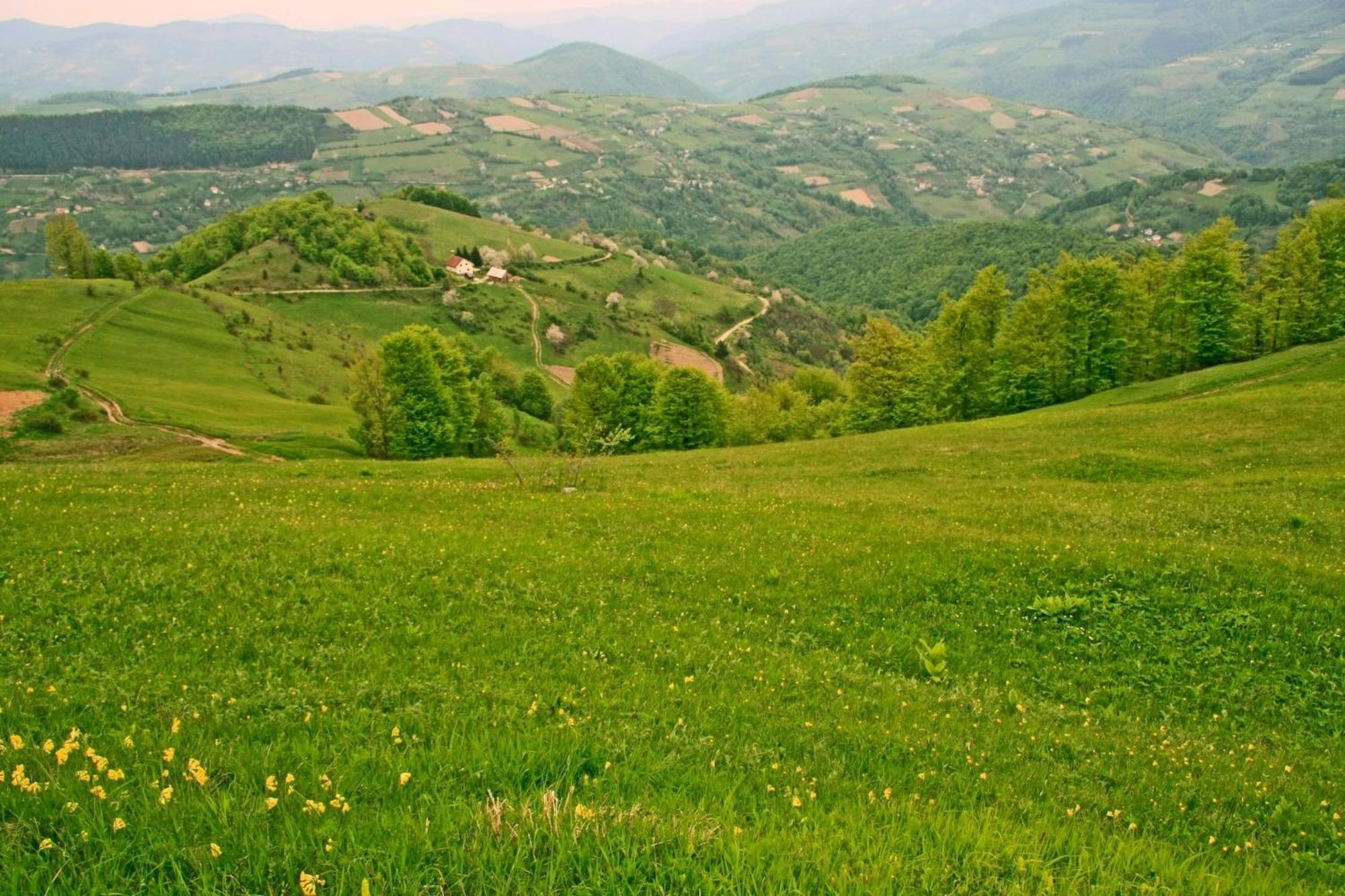 Hotel Javor Kušići Kültér fotó